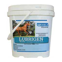 Lubrigen Joint Support Formula for Horses  Uckele Health & Nutrition